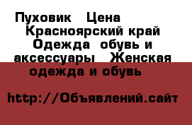 Пуховик › Цена ­ 1 500 - Красноярский край Одежда, обувь и аксессуары » Женская одежда и обувь   